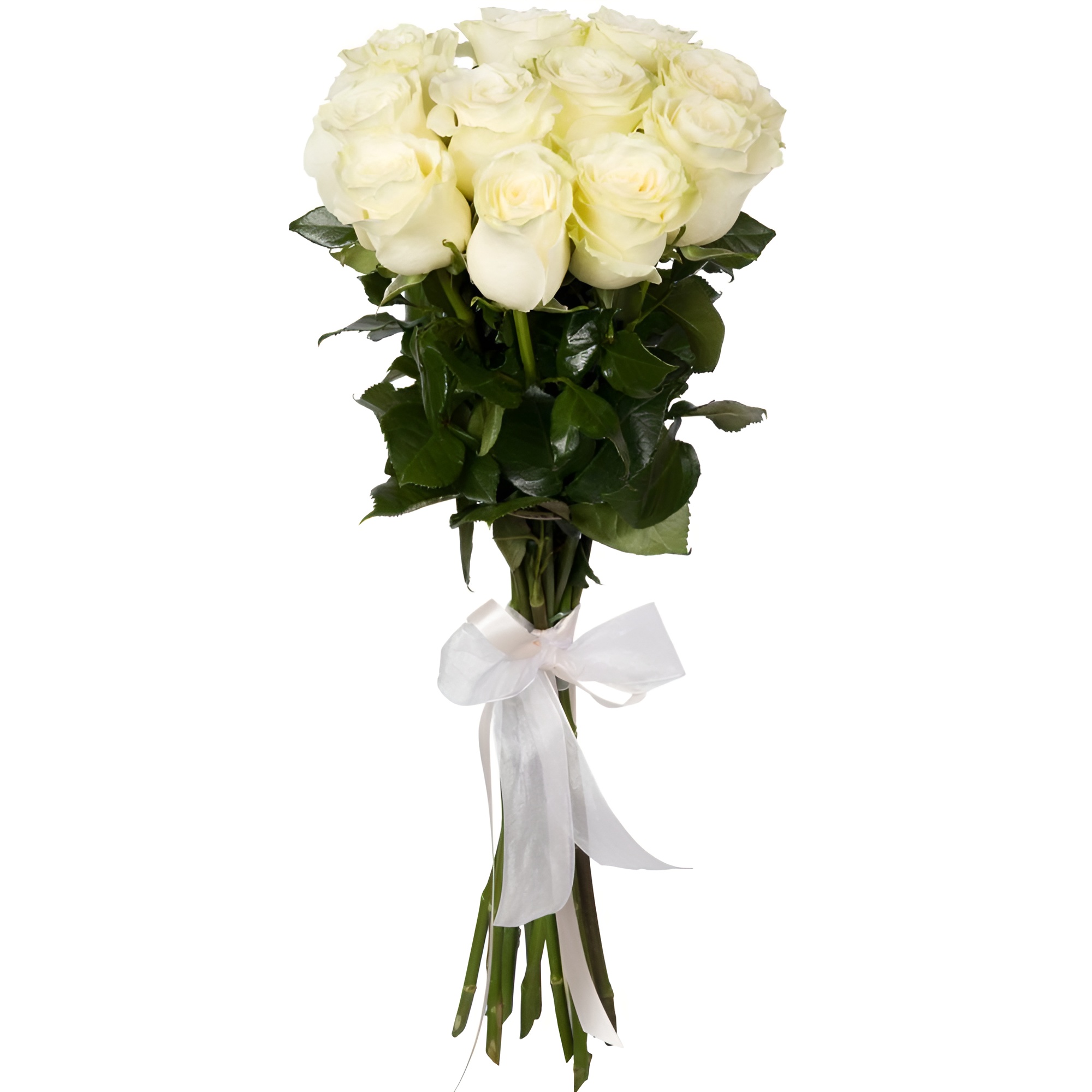 Букет из 3 белых роз с белой лентой 60 см, Россия